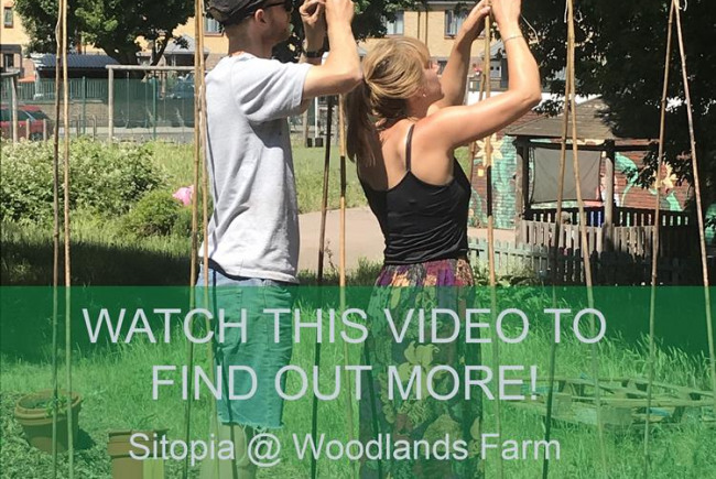 Sitopia @ Woodlands Farm, Greenwich