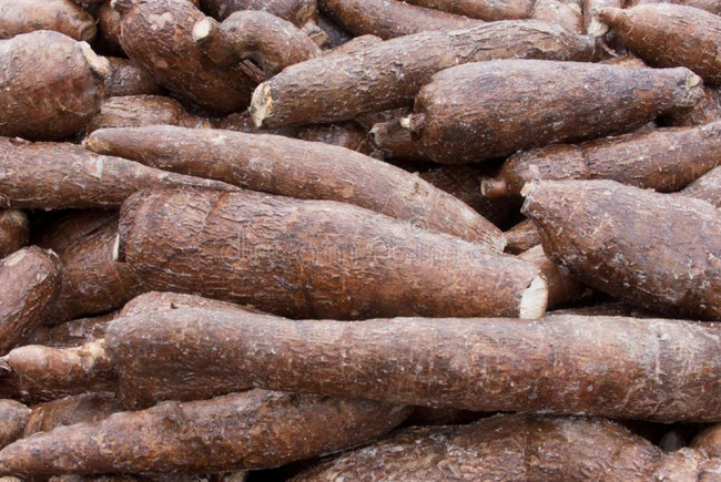 Fertilizer Processing From Crops 