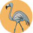 The Blue Flamingo Cafe