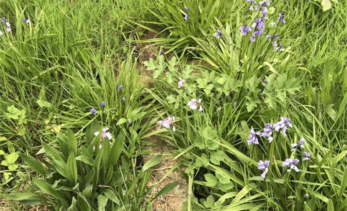 Image 19 of 23