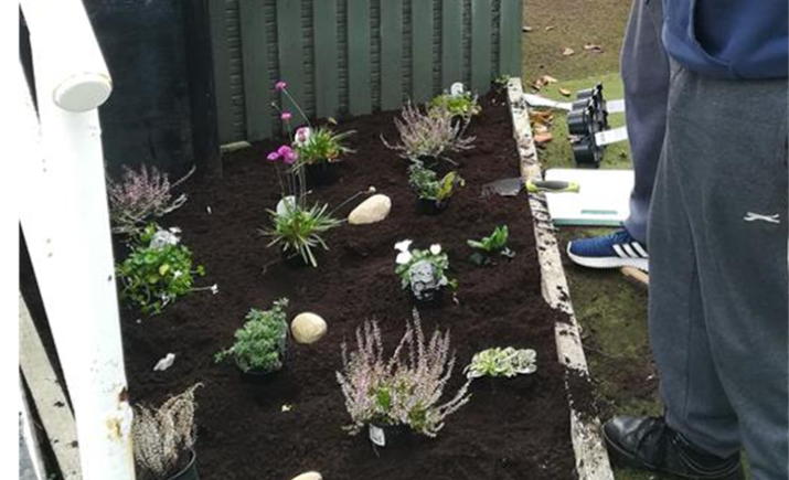 Image 4 of 12