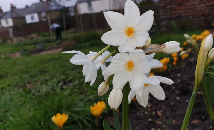 Image 25 of 52