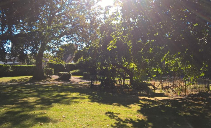 Image 11 of 14