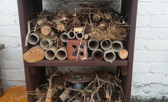 Image 8 of 8