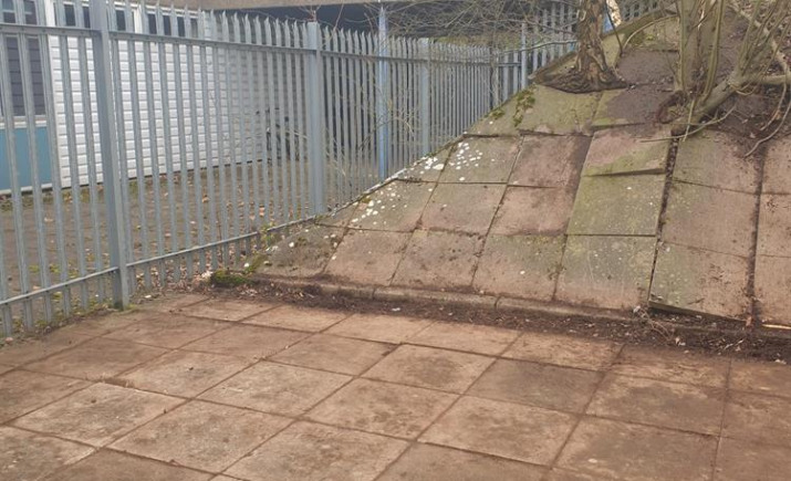 Image 4 of 7
