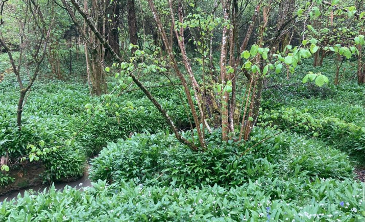 Image 2 of 6