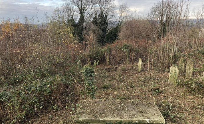 Image 8 of 18