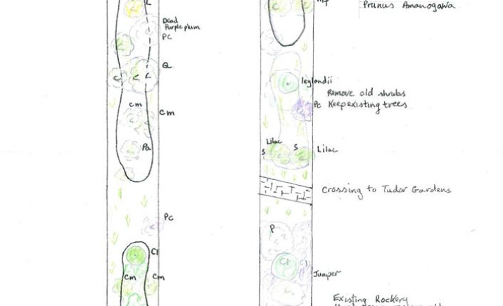 Image 13 of 14