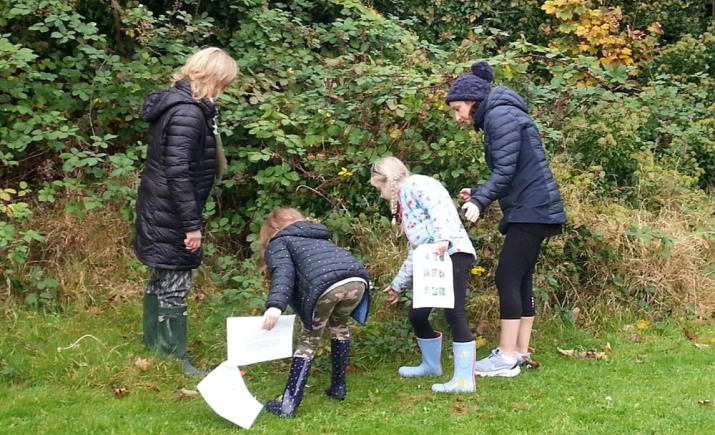 Image 11 of 71