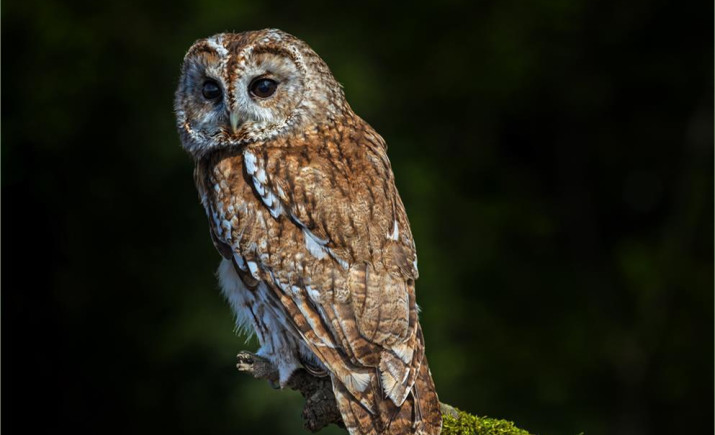 Image 8 of 22