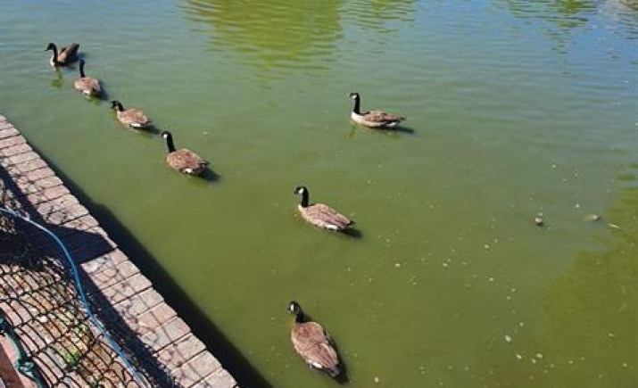 Image 7 of 12