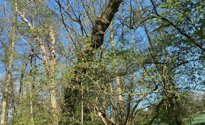 Image 17 of 17
