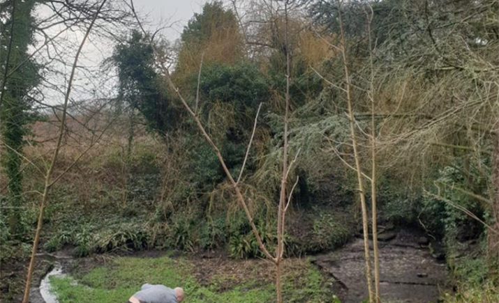 Image 32 of 104