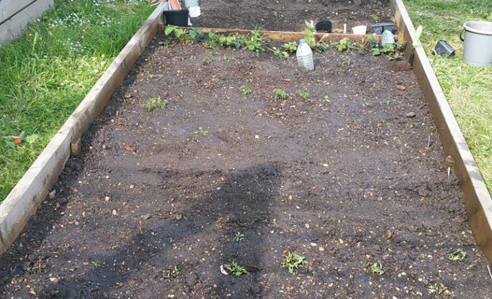Image 10 of 45