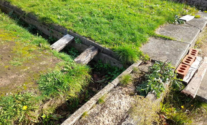 Image 6 of 6