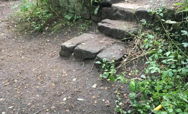 Image 3 of 18