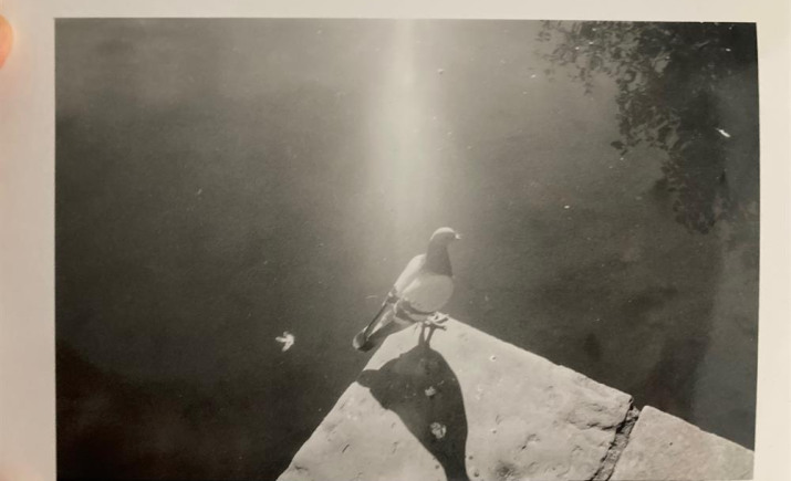 Image 3 of 12