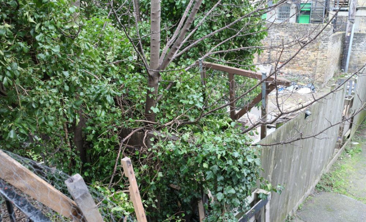 Image 6 of 9