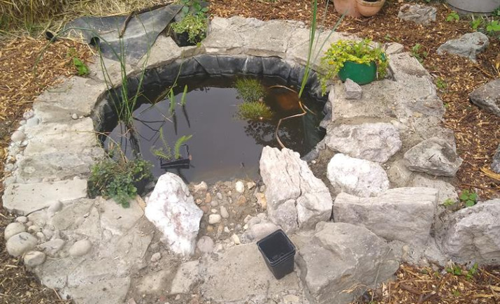 Image 38 of 41