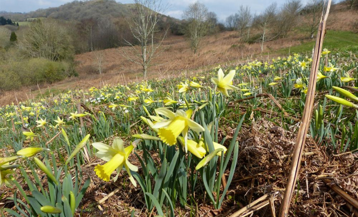 Image 15 of 43