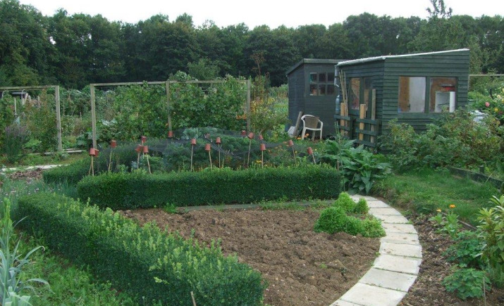Image 8 of 9