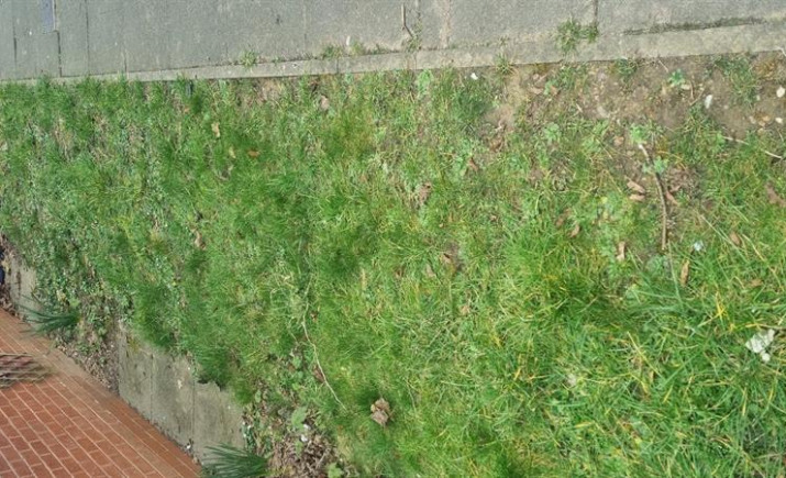 Image 7 of 7