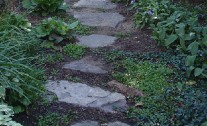 Image 5 of 11