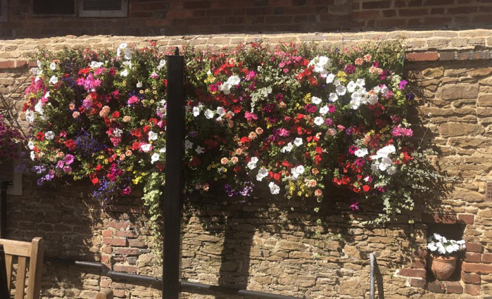 Image 16 of 25