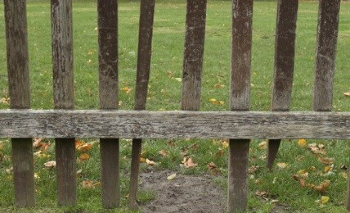 Image 7 of 8