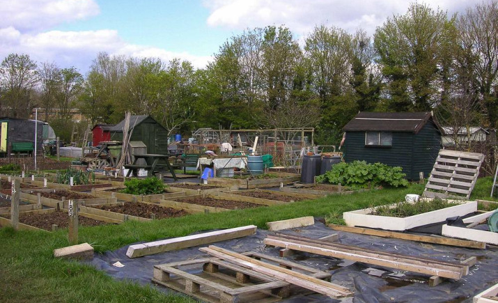 Image 7 of 9