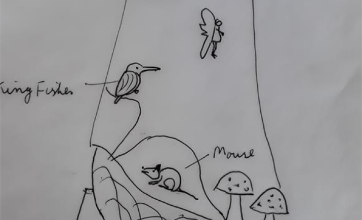 Image 2 of 8