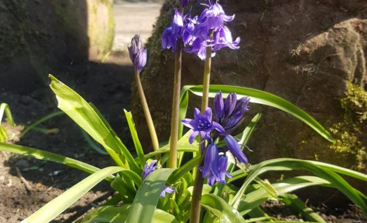 Image 29 of 104