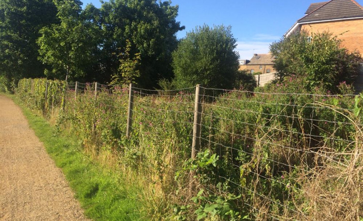 fence.jpg