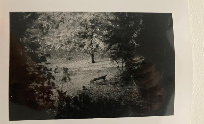 Image 1 of 12