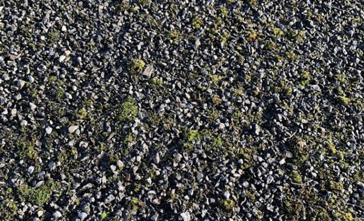 Image 7 of 7