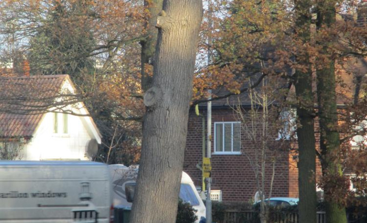 Image 7 of 8