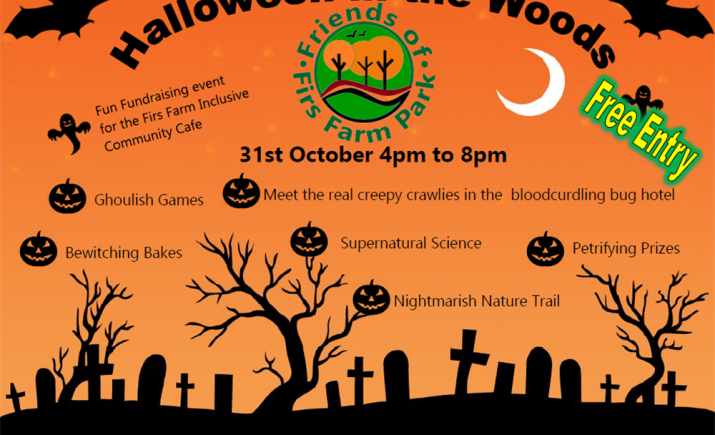 Image 10 of 20