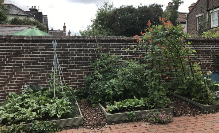 Image 6 of 25