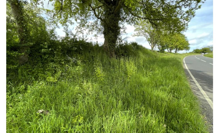 Image 10 of 16