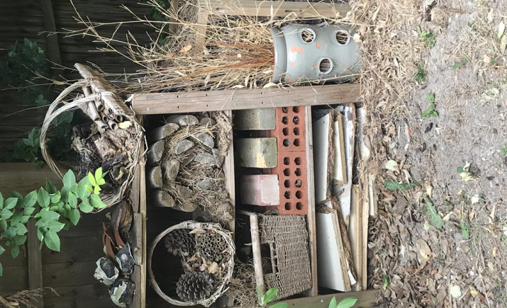 Image 14 of 25