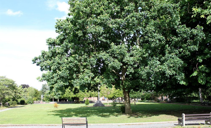 Image 4 of 3
