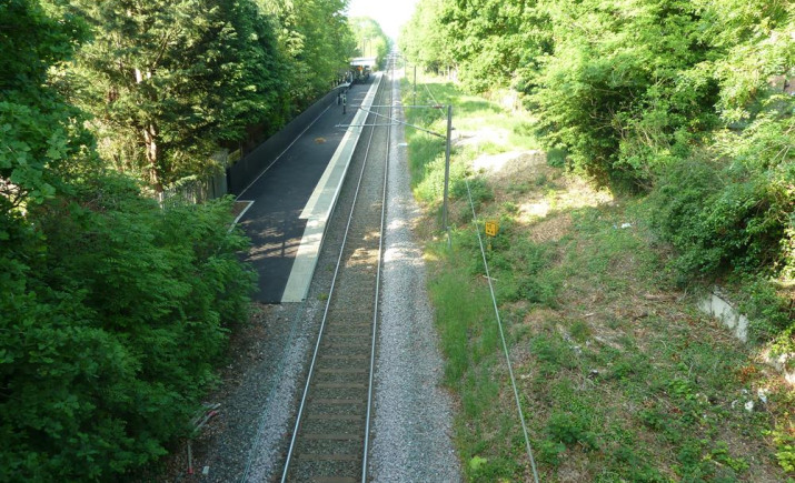 Image 2 of 7