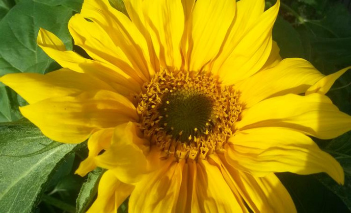 Image 5 of 12