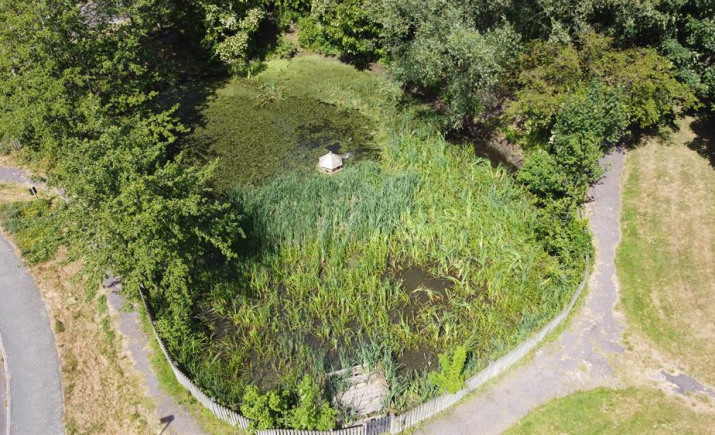 Image 4 of 7