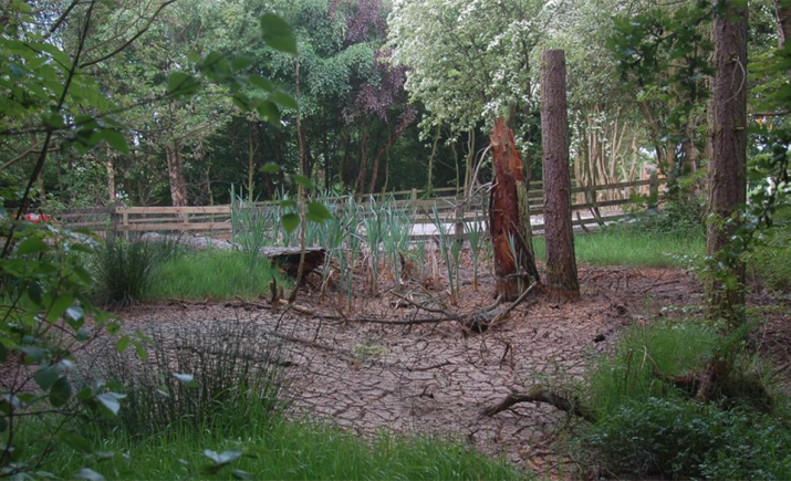 Image 4 of 15