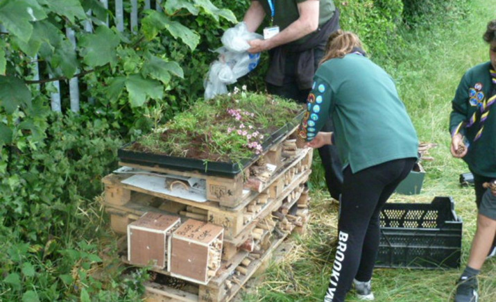 Image 2 of 11