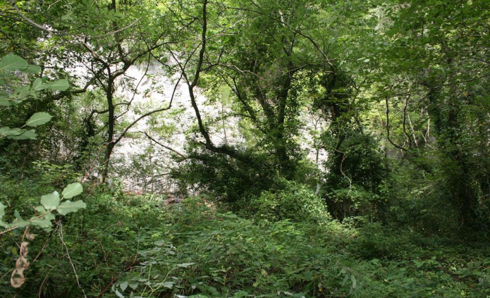 Image 2 of 6