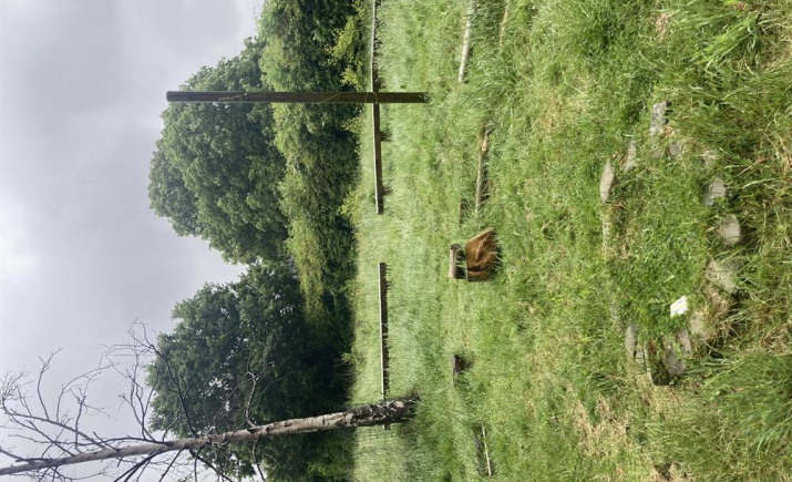 Image 7 of 16