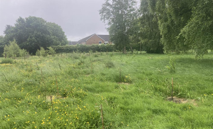 Image 16 of 16