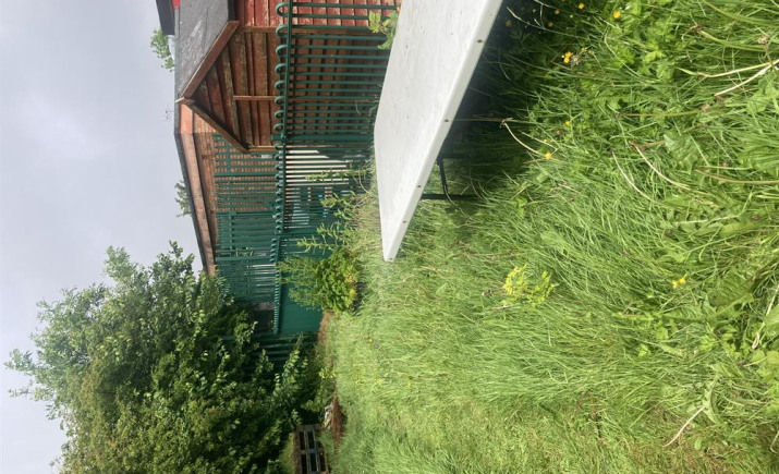 Image 2 of 16